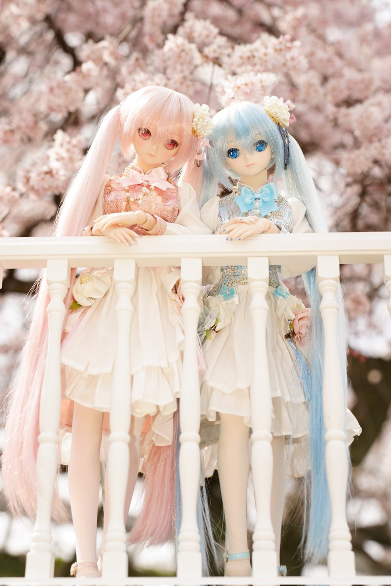 おととや tweet media