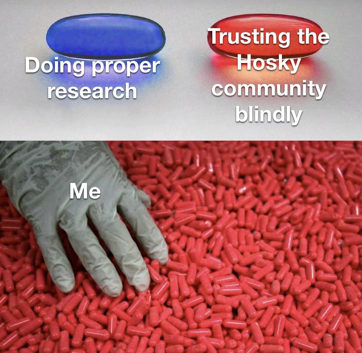 Algorand Explorer tweet media