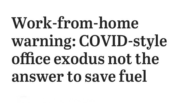 australian kitsch 🦘 tweet media