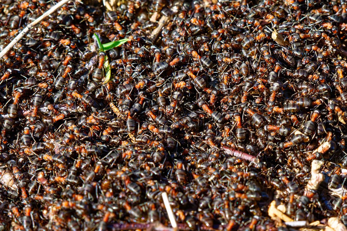 Quint&Quer tweet media