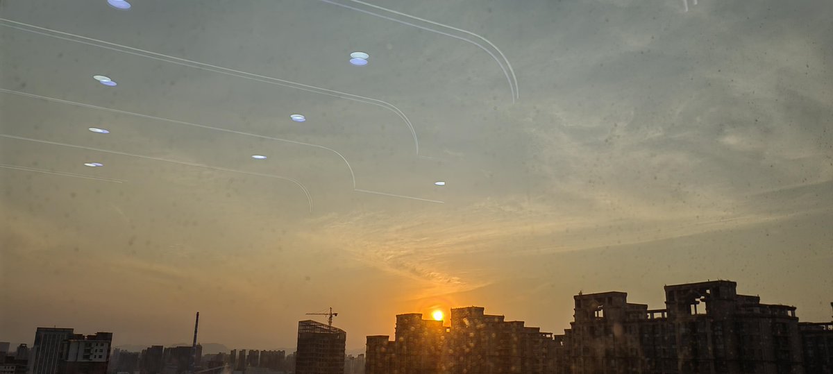 dajana djotlo tweet media