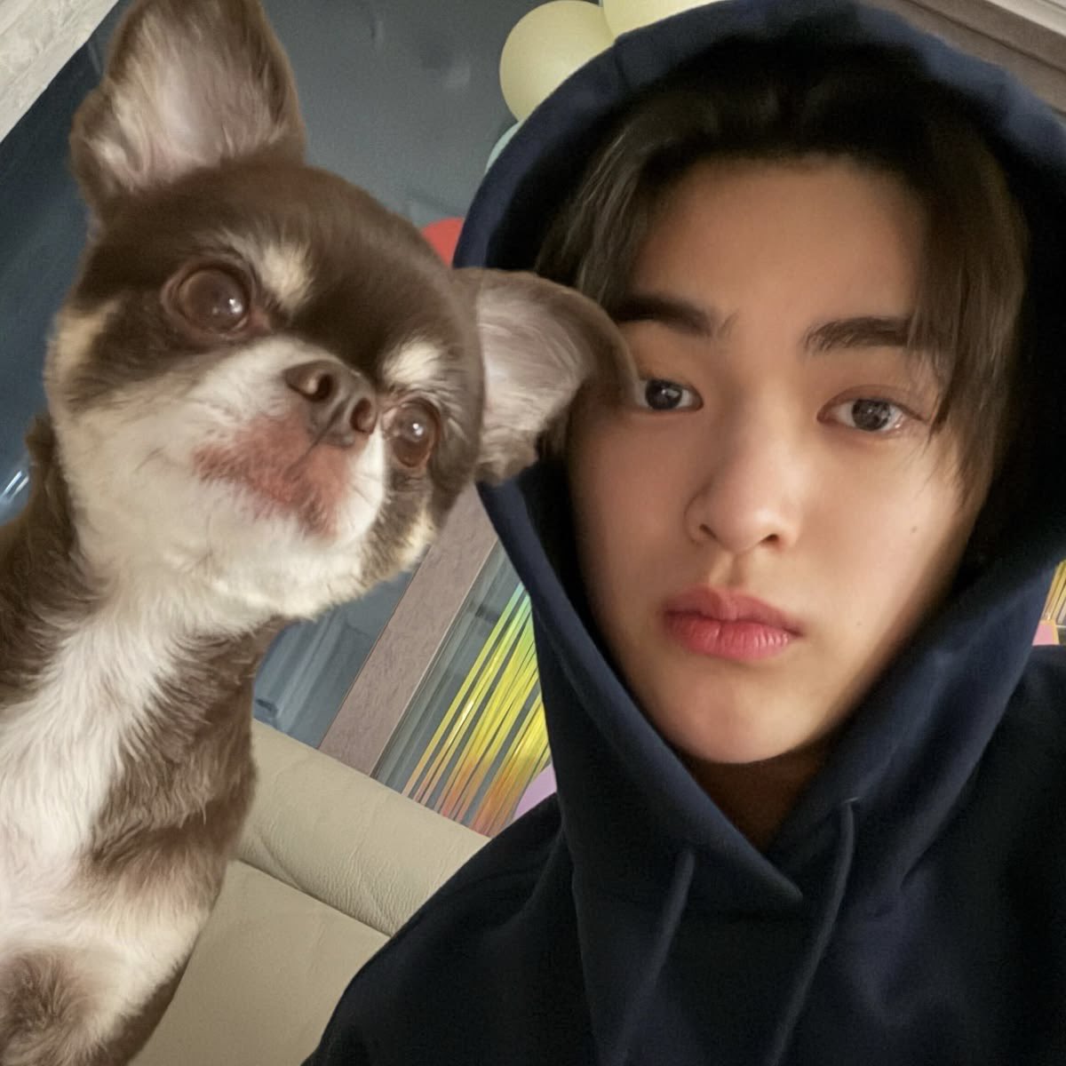 pony 👩🏻🎤🍏 tweet media