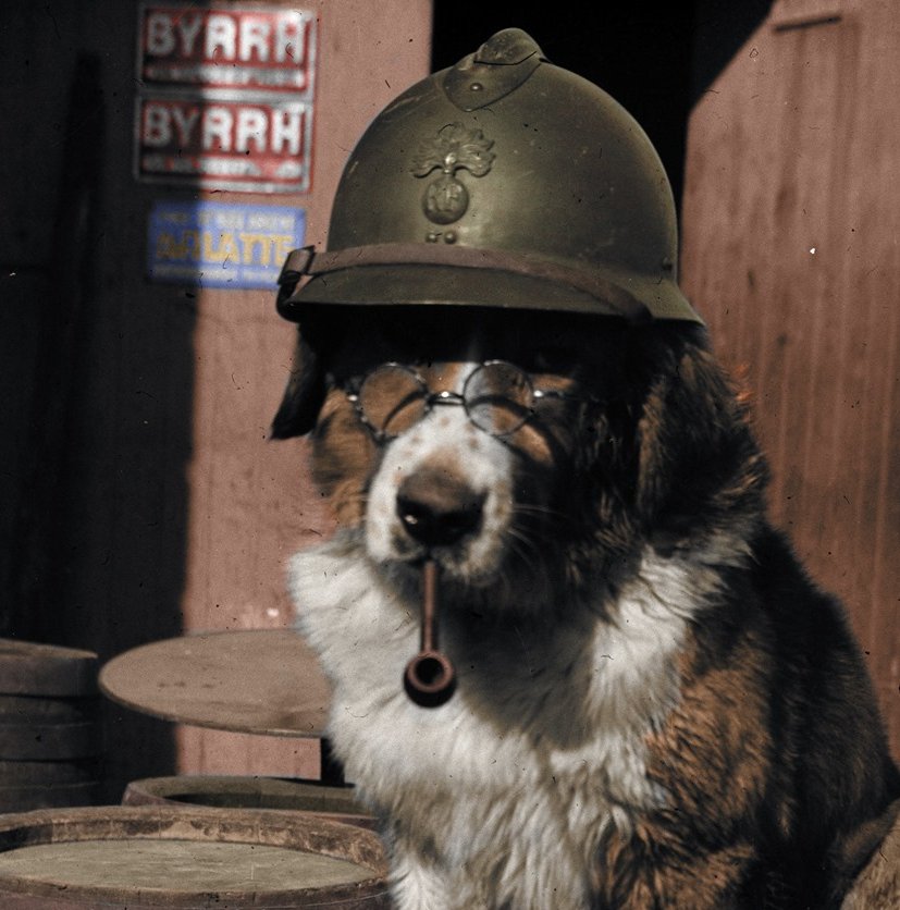 Irish Patriot 🇮🇪 tweet media