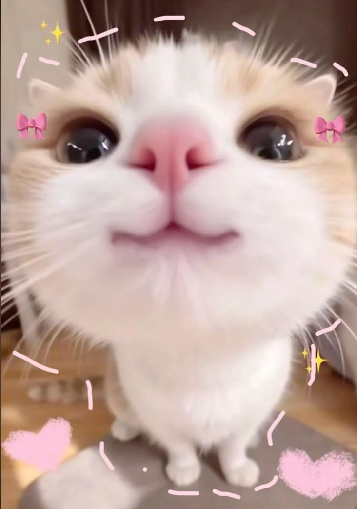 ' (@chasesynapse) on Twitter photo 