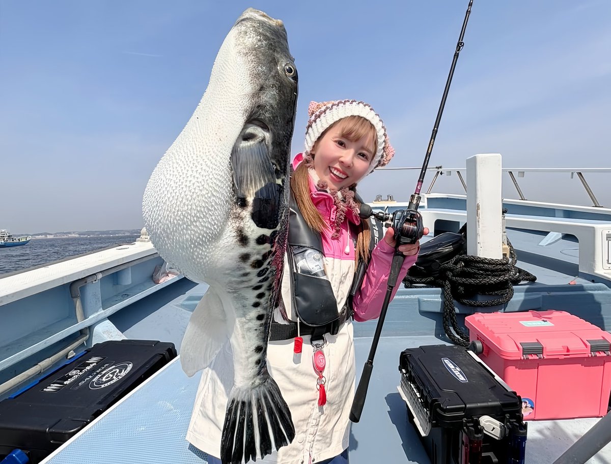 井上直美 tweet media