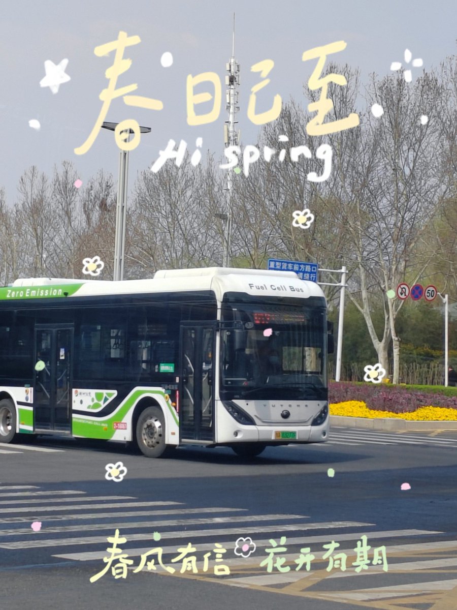 Susan（互fo） tweet media