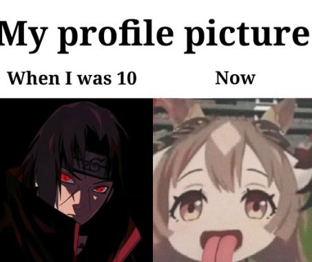 Oguro Star Blossom tweet media