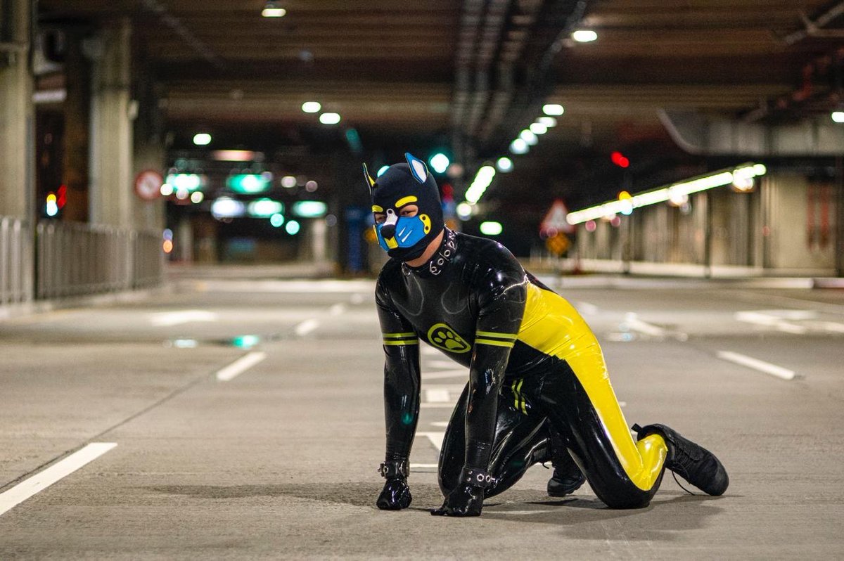 tigerbin AKA 夢想成為陶大知的男子 tweet media