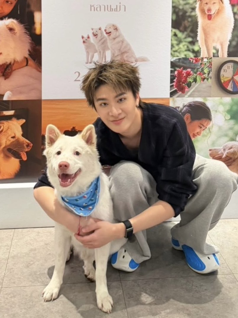 Pipi🧝🏻‍♀️.ᐟ (@imyourpipi) on Twitter photo 