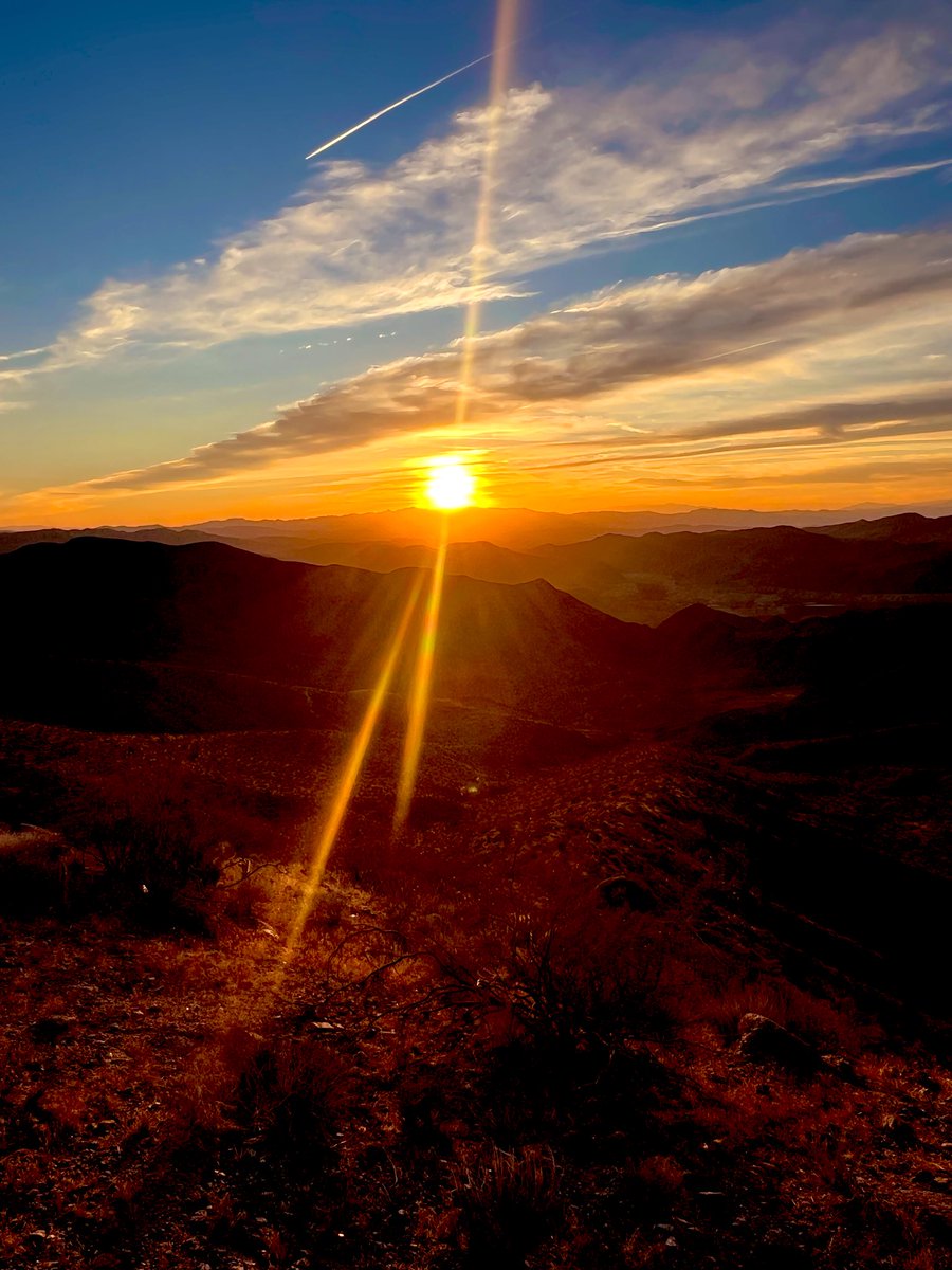 Flawwed1 tweet media