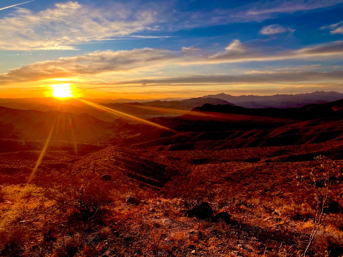 Flawwed1 tweet media