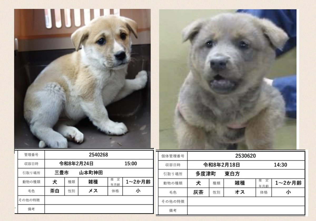 No more culling! tweet media