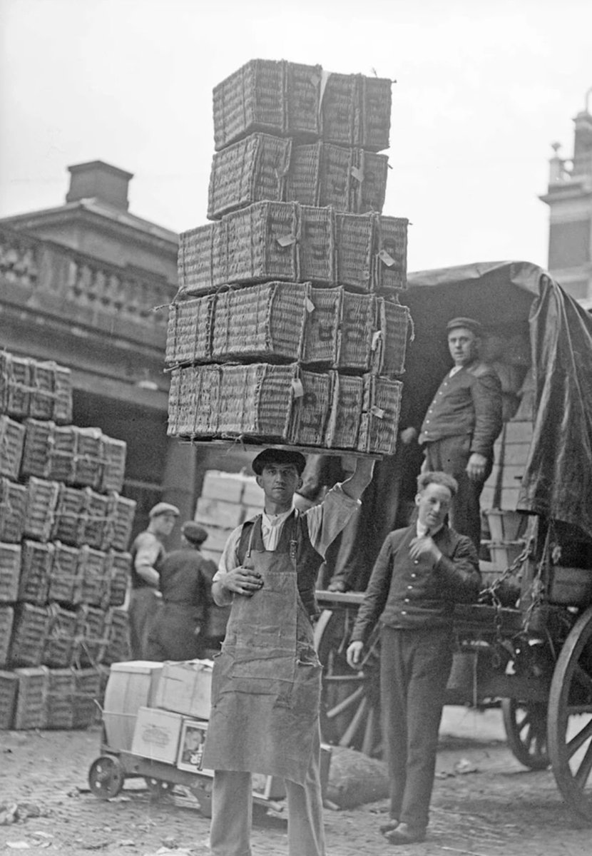 DOZA🧐 tweet media