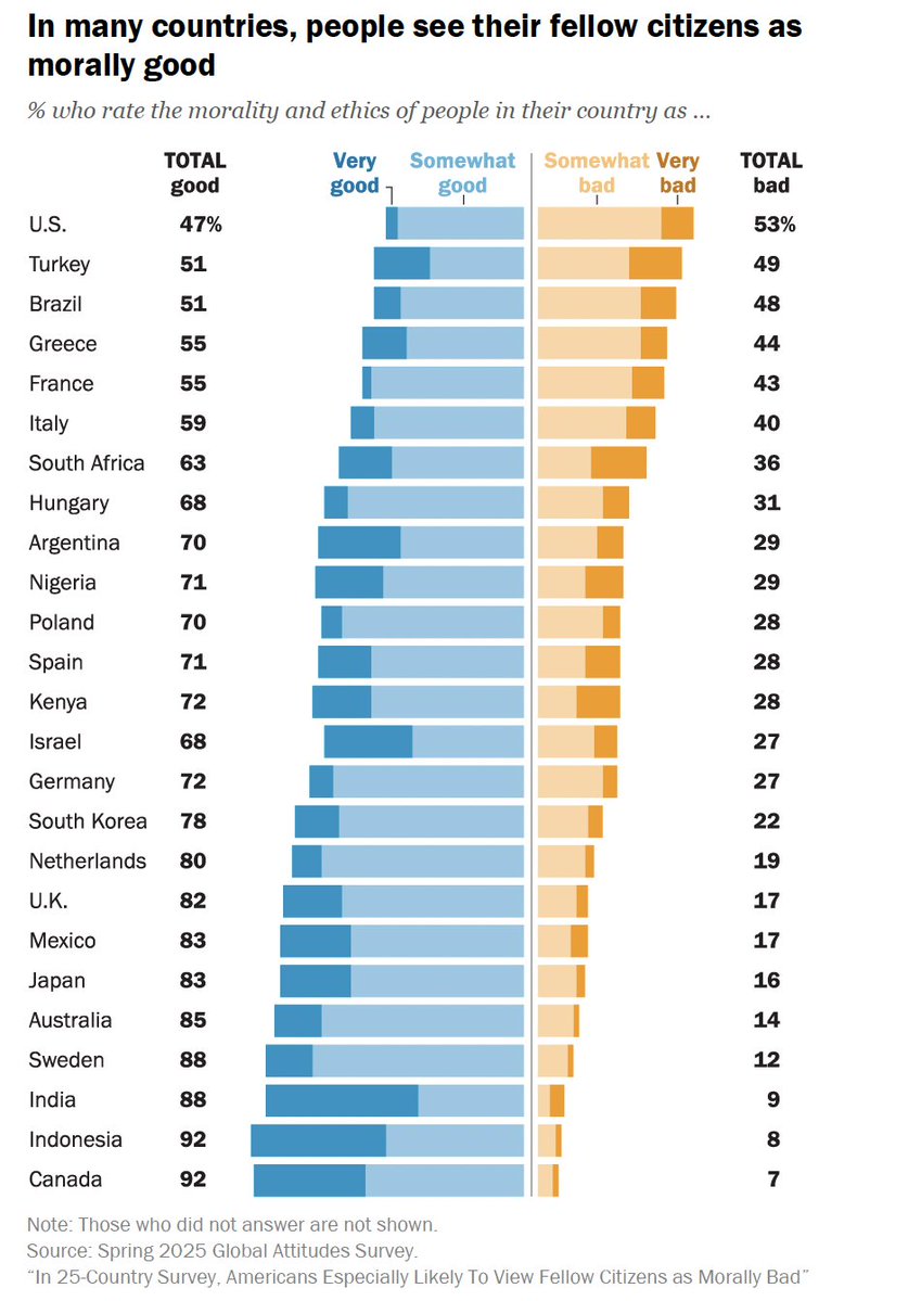 Maria Davidson tweet media