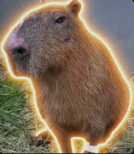 Pablo of memes tweet media