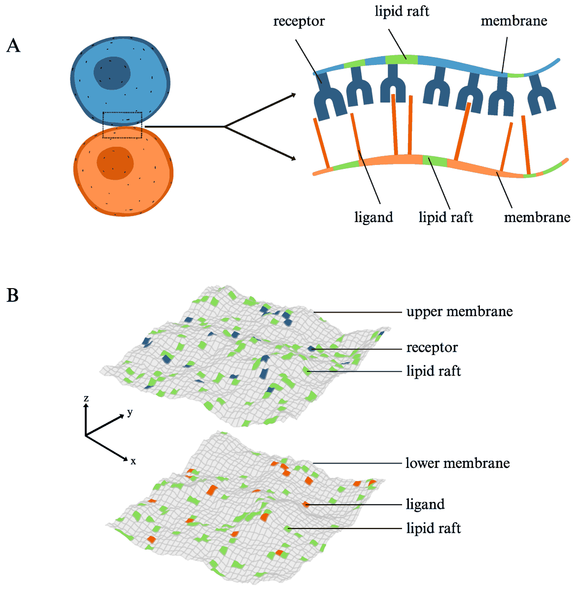 Surfaces_MDPI tweet media