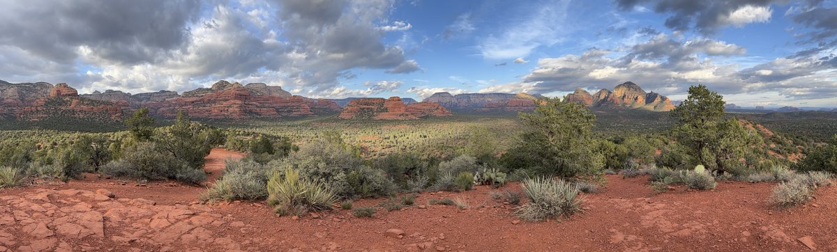 David Sunfellow tweet media