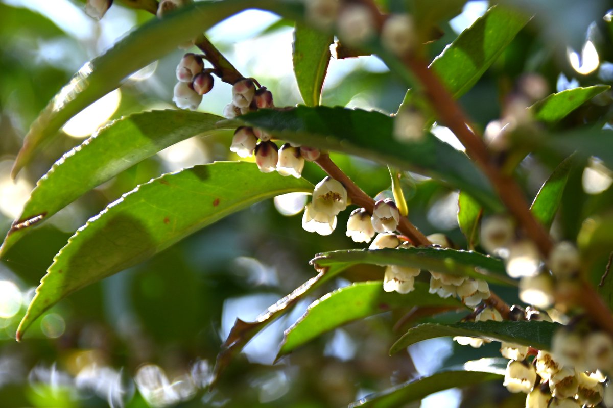 神奈川県立秦野ビジターセンター tweet media