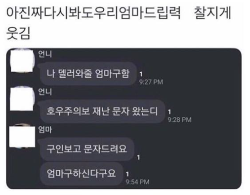 돌아온지지 (帰ってきたジジ) Premium+ tweet media