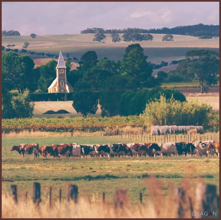 Antipodean Empire 🇦🇺 tweet media