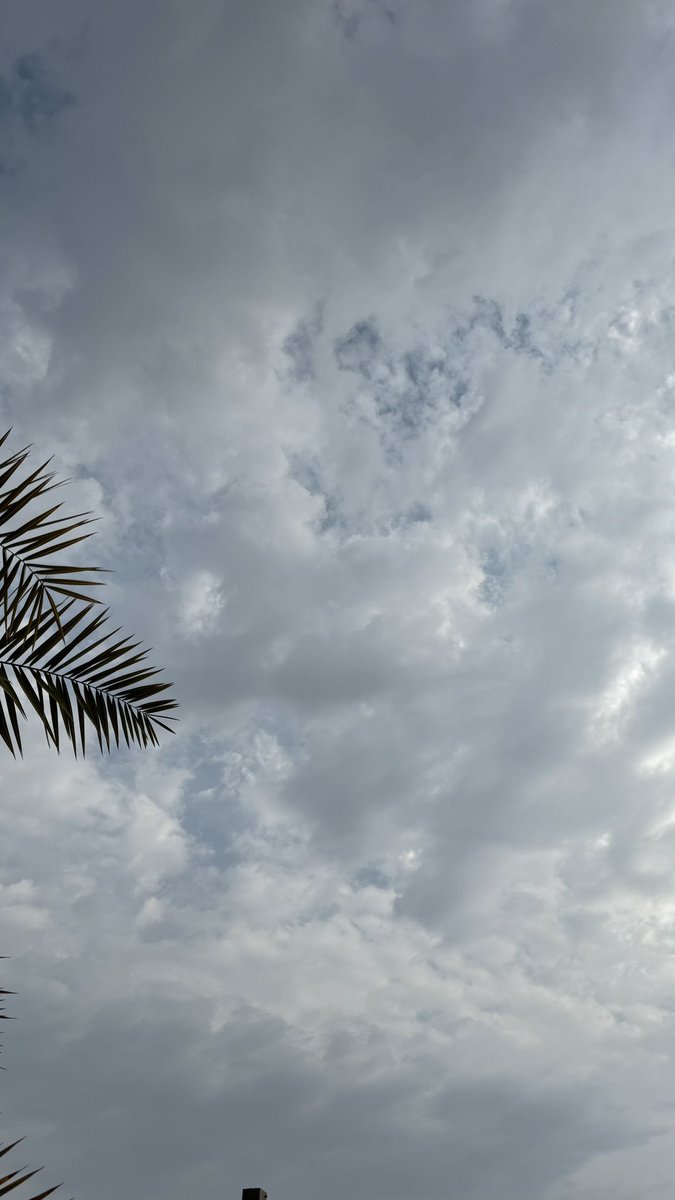 SALMAN🇸🇦 tweet media