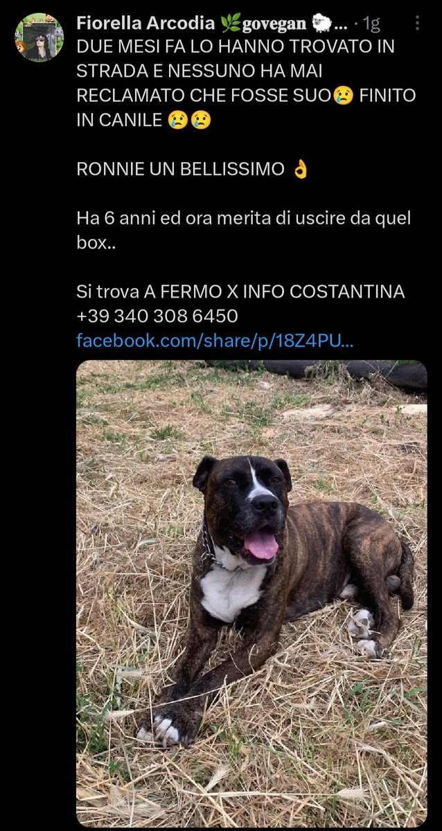 giuseppe esposito tweet media