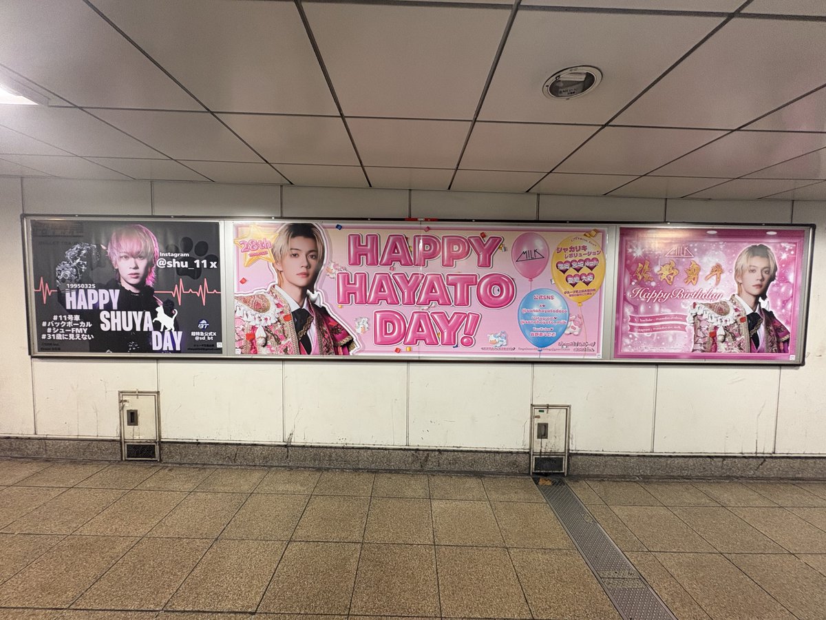 あきこ tweet media