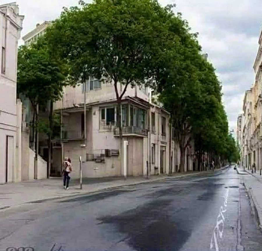 𝐌𝐚𝐭𝐭 𝐏𝐢𝐧𝐧𝐞𝐫 tweet media