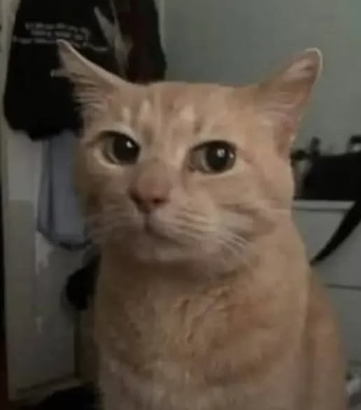 ʟɪʟ'sᴛ ♡ tweet media