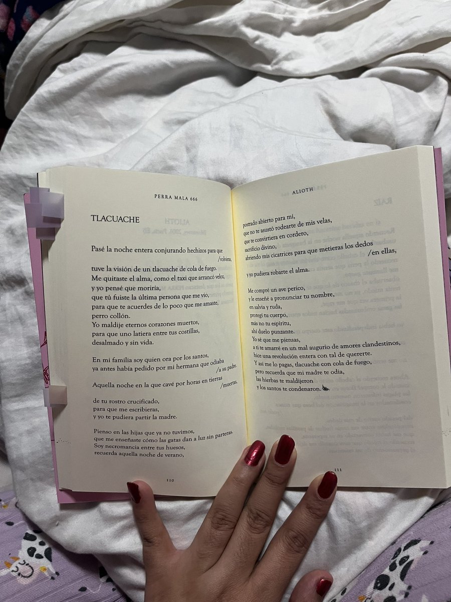 TierradeEire's tweet photo. Por si lo llegas a leer https://t.co/3mJ3ny4Mcx
