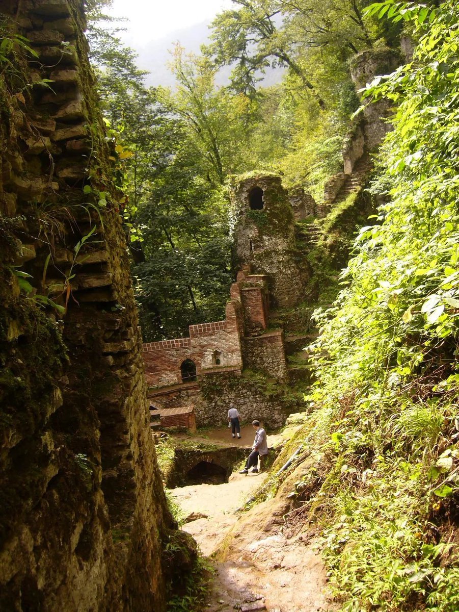 Whispers tweet media