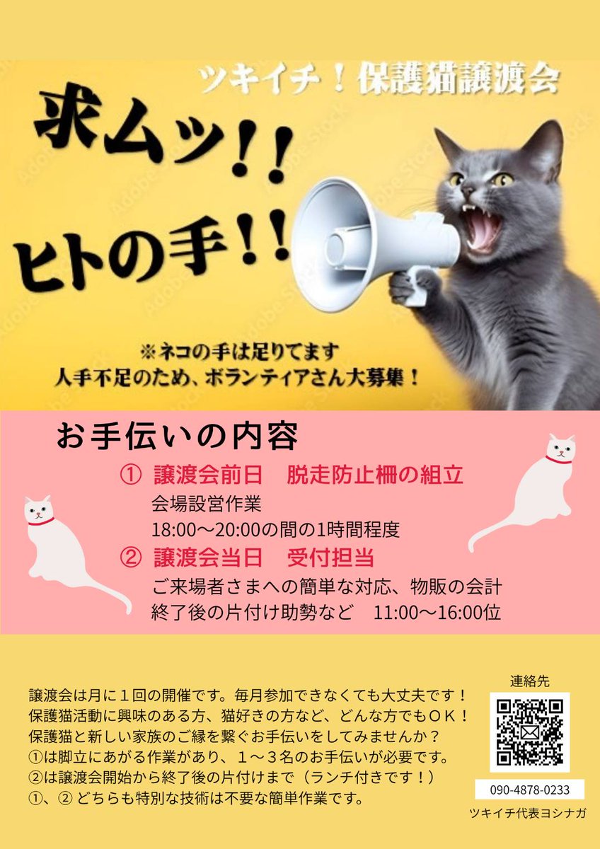 2Betsy0's tweet photo. 今月のツキイチ！保護猫譲渡会は
3.29(日)11-15:00
今月より、カフェ再開です☕
保護猫の新しいご縁探ししています！
同時にボラさんも募集中です😊
お気軽にお問い合わせください😊

#北海道釧路市
#ツキイチ保護猫譲渡会
#ボランティアさん募集中 https://t.co/9rKNLxVOl9