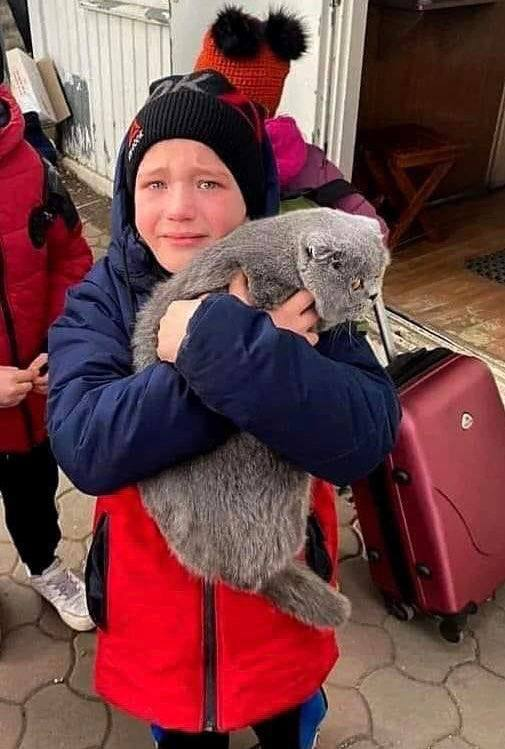 Churchill 🇺🇦🇨🇦🇬🇱💙 tweet media