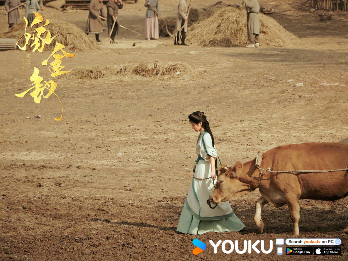 优酷Youku tweet media