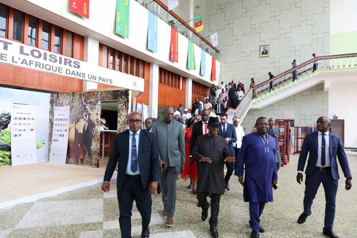 The Cameroonian 🇨🇲 tweet media