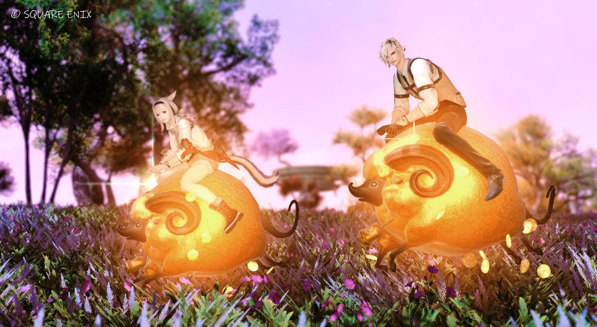 🌱江戸わーど🐺☽❂ tweet media