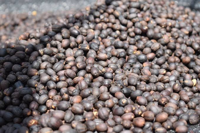 Madam CEO 🇺🇬 tweet media