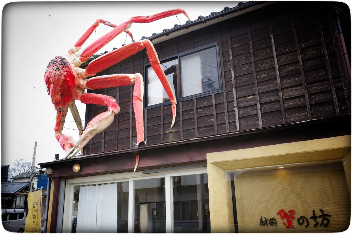 黒さとー tweet media