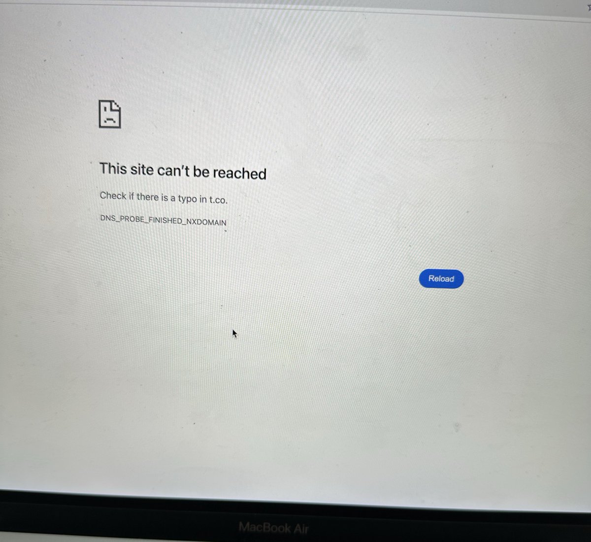 WANG CHNT 🦊 tweet media