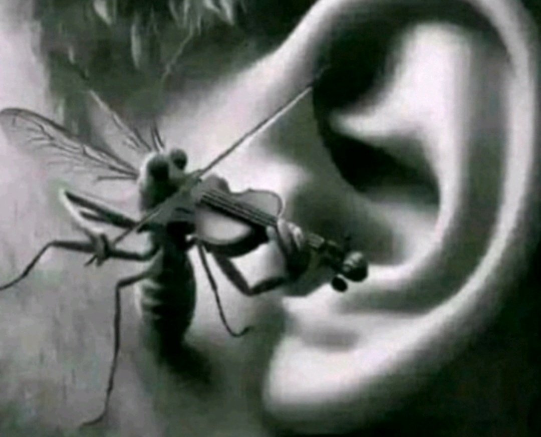 that_boi tweet media