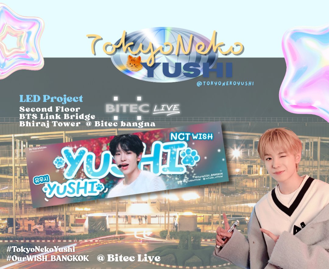 TokyoNekoYushi🐱 tweet media