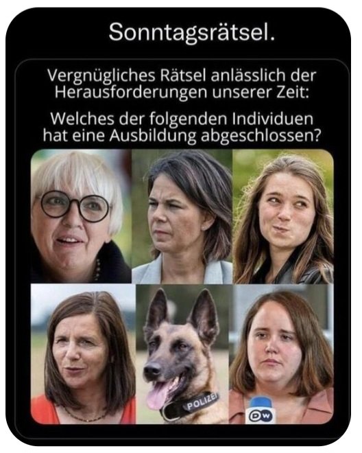 Meister Caligula tweet media