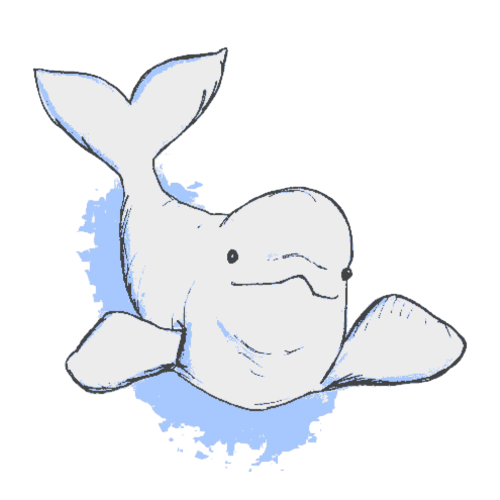 aleatalis's tweet photo. ⠀
⠀ᅠ  𝐬𝖍𝖊'𝐬  ᵗʰᵉ  𝕳͟𝐄𝐀𝐑𝐓    🤍🐋
⠀ https://t.co/MoTSmHXu5E