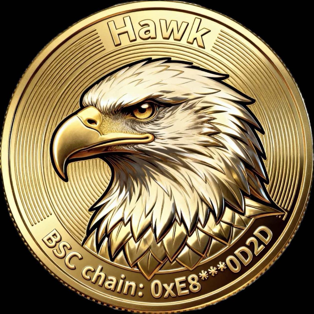 HawkArmy_Dafly tweet media