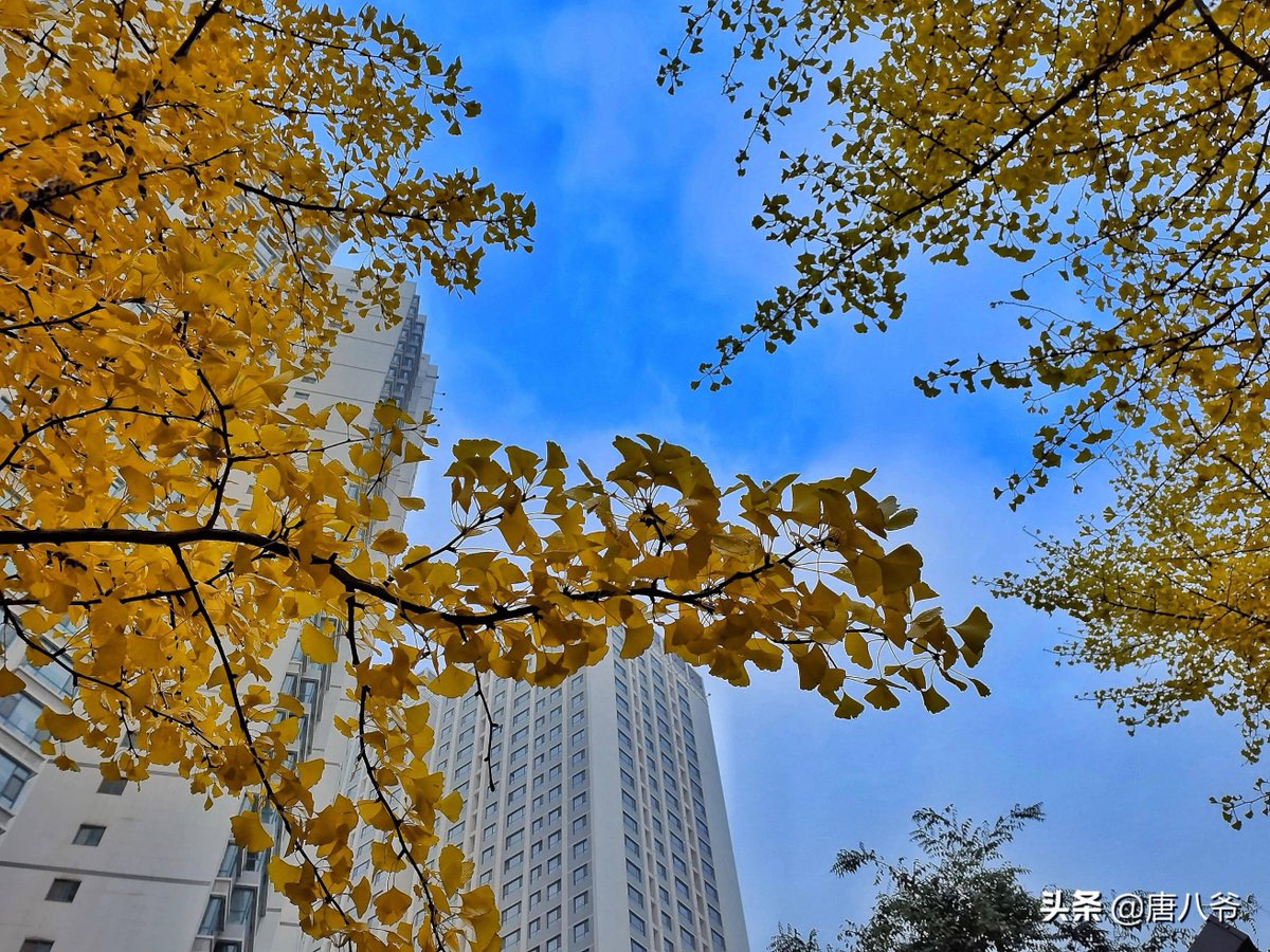 เด็กน้อย . tweet media