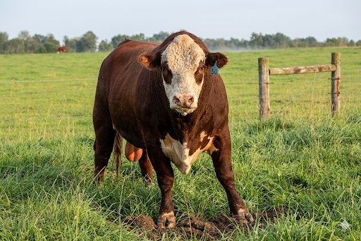 Sama Hoole tweet media