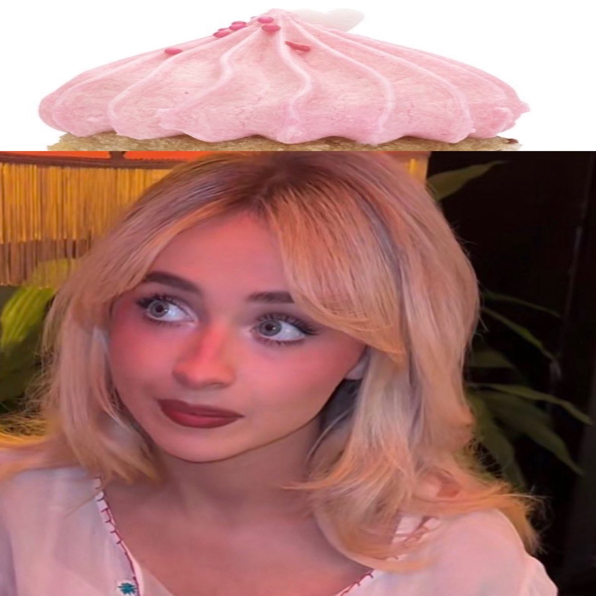 ri ☽ ⋆🐾⋆ tweet media