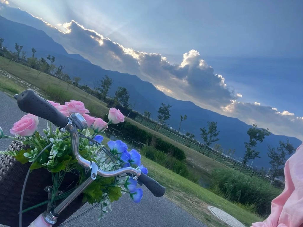 Fayha Mohammed tweet media