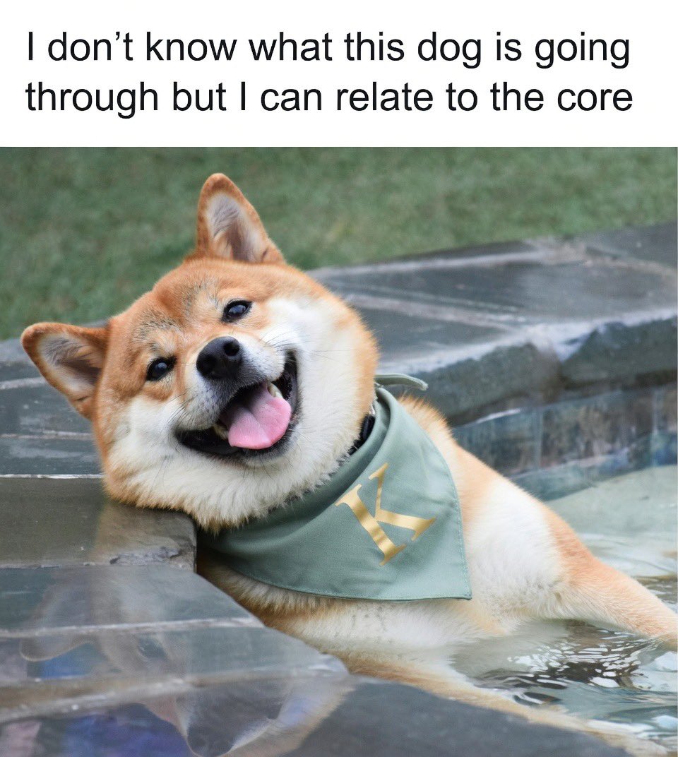 𝐊𝐈𝐌𝐂𝐇𝐈 𝐀𝐑𝐌𝐘 tweet media