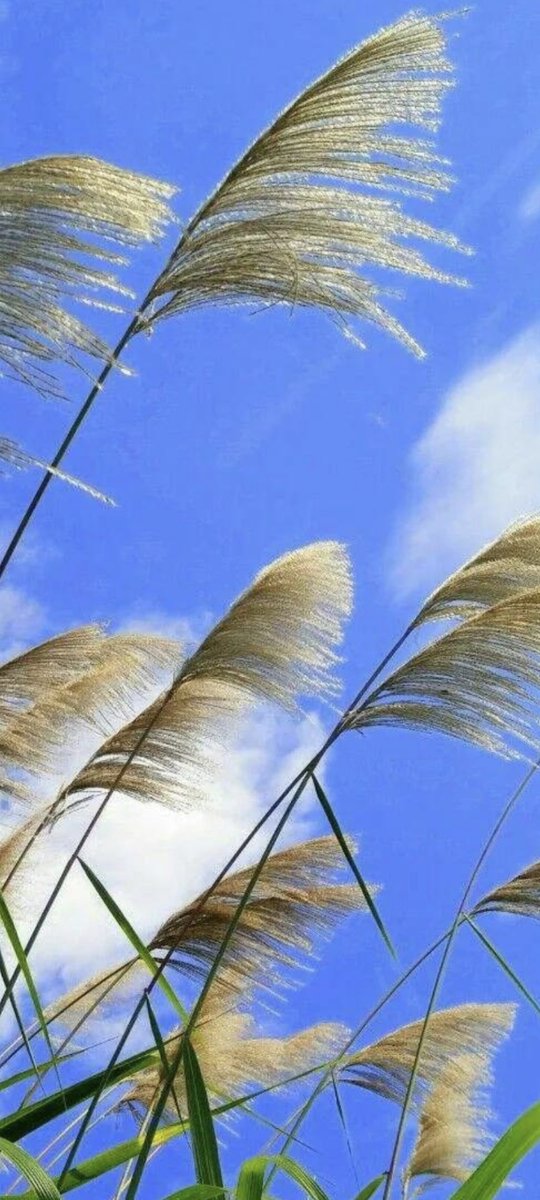 John Hatfield tweet media